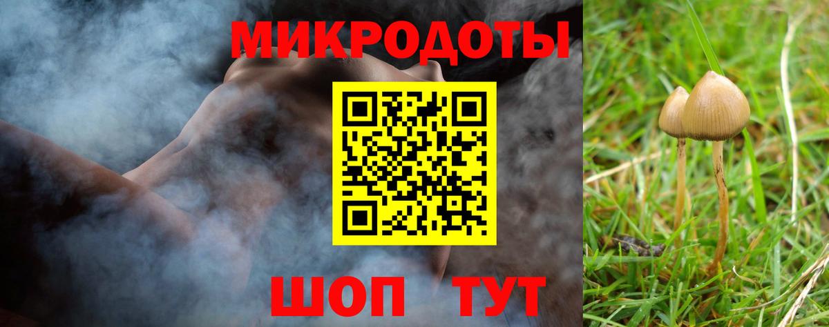 Псилоцибиновые грибы прущие грибы Вольск